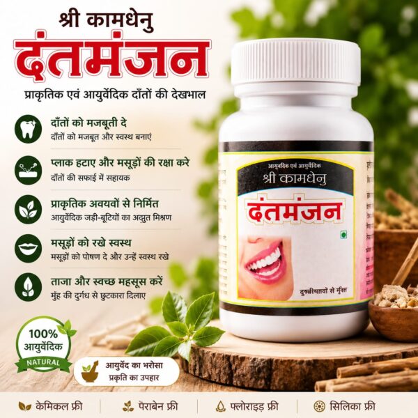 Dant Manjan