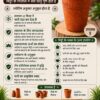 eco glass